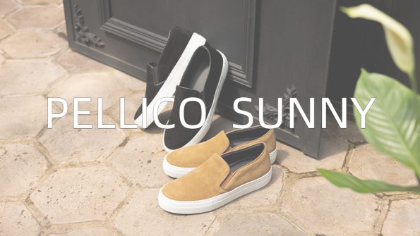 ペリーコサニー