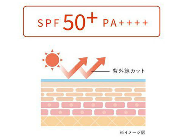 SPFとPA