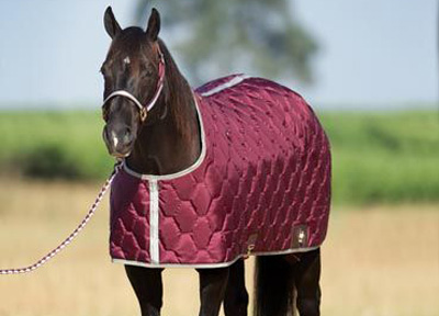 馬 キルティング