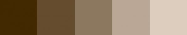 ブラウン配色