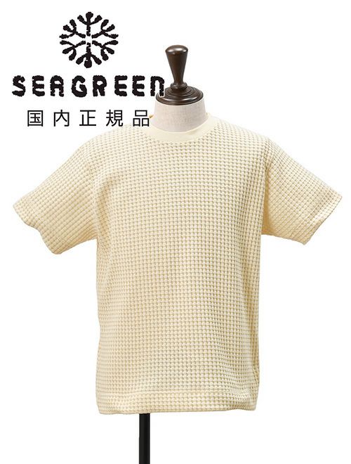シーグリーン　半袖Tシャツ　ビッグワッフル　オニワッフル