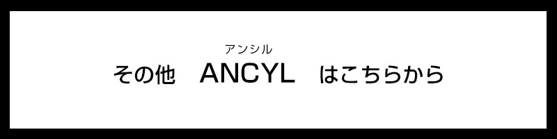 その他のアンシルはこちらから