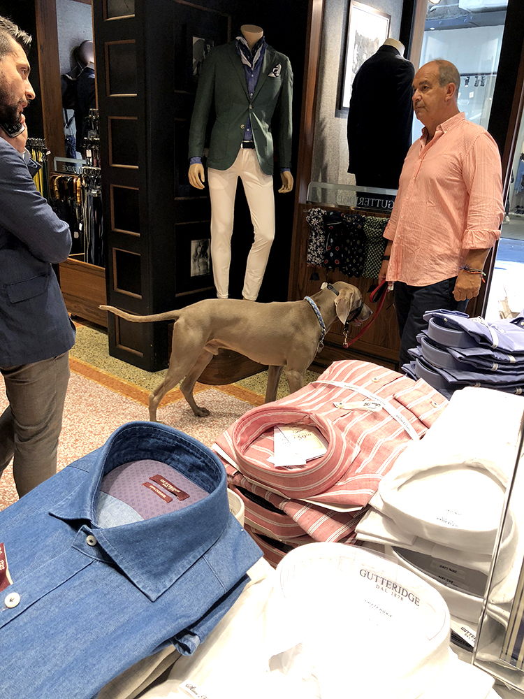 犬を連れて紳士専門店にシャツを買いに来る紳士