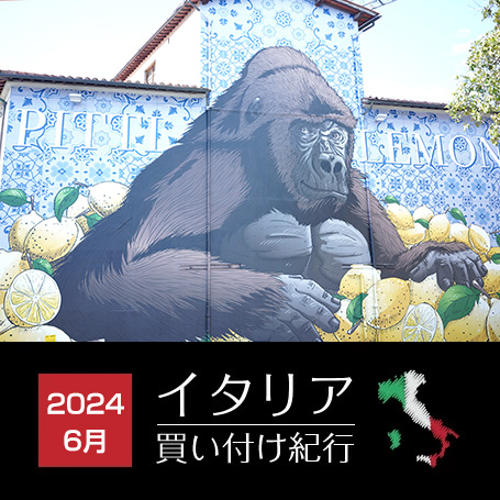 店長ハヤシのイタリア買い付け紀行2024.6は1.ピッティウォモ編、2.ミラノ編、3.フィナモレ編、4.ベルウィッチ編の4本をお届けします。