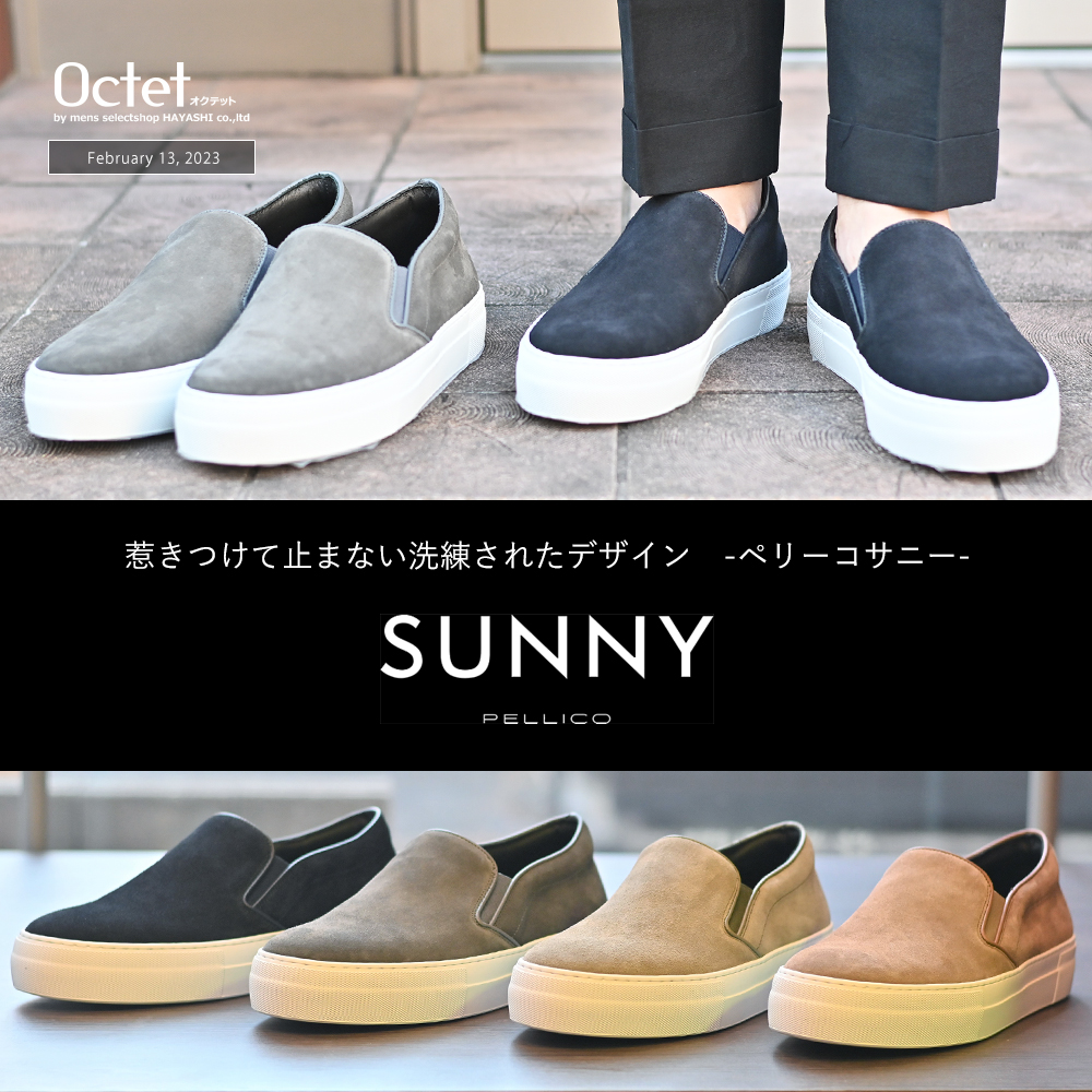 ペリーコサニー　PELLICO SUNNY特集