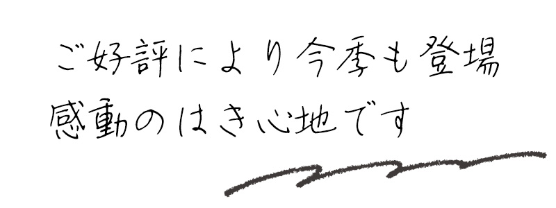 ご好評により今季も登場　感動のはき心地です