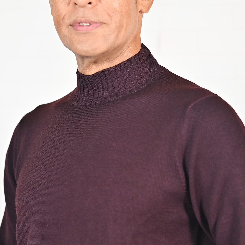 フィリッポ デ ローレンティス（FILIPPO DE LAURENTIIS）　メリノウール モックネックミドルゲージニット　モデル着用バストアップ画像