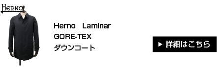 Herno　Laminar GORE-TEX ダウンコート